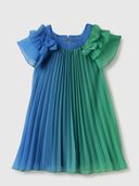 Blue color option, Currently selected
