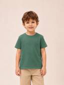Green color option, Currently selected