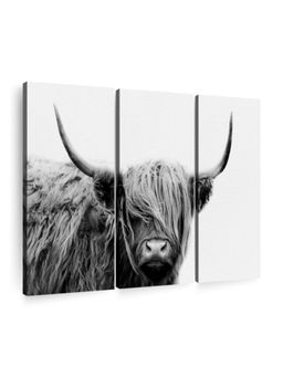 POSTERS AND TRUSS - 3-Pcs White Black Highland Cow Framed Wall Paintings