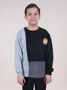 KiddoPanti - Boys Round Neck Cut and Sew Sweatshirts