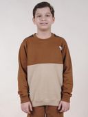 Brown color option, Currently selected