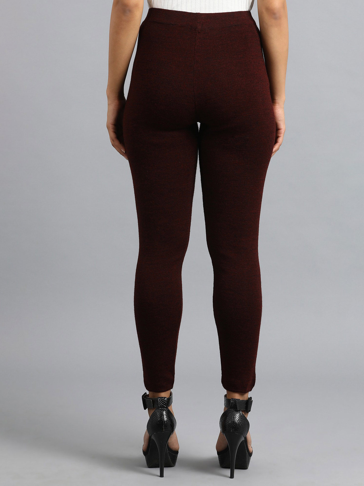 Buy W Wine Woollen Leggings Online 
