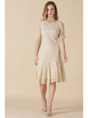 Chloe lace half sleeve peplum hem midi dress clearance