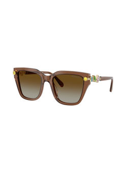 SWAROVSKI - Women Polarized Brown Lens Irregular Sunglasses (0Sk60411067T553) (53)