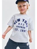 Grey color option, Currently selected