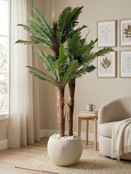 Mason Home - Artificial Sago Palm - 6Ft Green