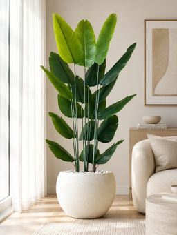 Mason Home - Artificial Lush Travellers Palm, 6Ft