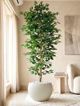 Mason Home - Artificial Weeping Ficus Tree - 7 Feet