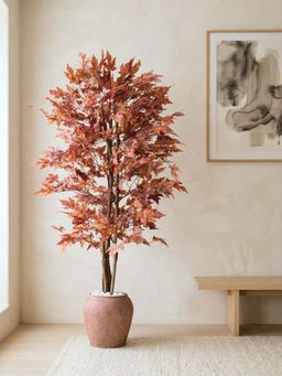 Mason Home - Artificial Canadian Maple Plant - 6.5 Feet