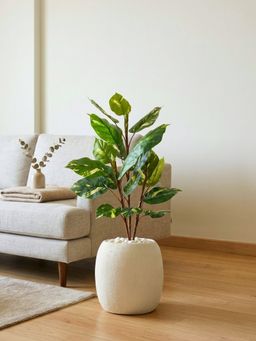 Mason Home - Artificial Variegated Pothos Plant