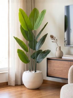 Mason Home - Artificial Lush Travellers Palm - 5 Feet