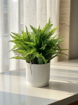 Mason Home - Artificial Lush Fern Plant With Pot - Large