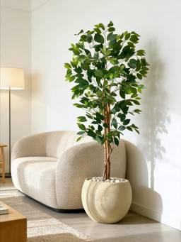 Mason Home - Artificial Grove Ficus Plant - 5 Feet (Without pot)