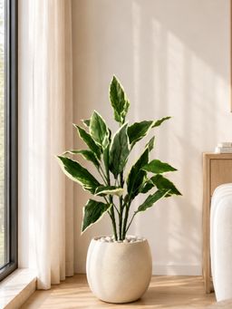 Mason Home - Artificial Hosta Plant - 3.5 Feet (Without Pot)