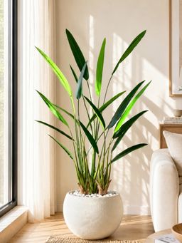 Mason Home - Green Artificial Slim Travellers Palm Plant Without Pot