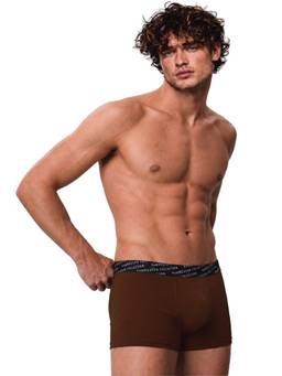 Van Heusen - Men Brown 4 Way Stretch 3D Logo Waistband Tactel Trunk