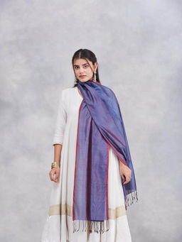 Fabindia - Blue Silk Stole