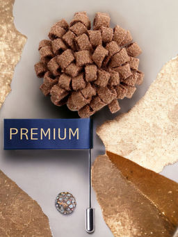 PELUCHE - A Glorious Crescendo Brown Brooch Lapel Pin For Men