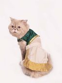 Green color option, Sold out