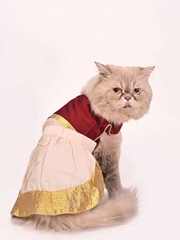 Vastramay - Cats' South Indian Style Maroon and Cream Lehenga Choli