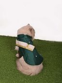 Green color option, Sold out