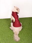 Maroon color option, Currently selected