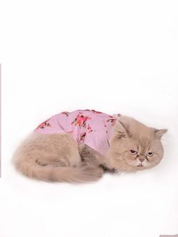 Vastramay - Cats' Rayon Allover Printed Shirt
