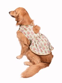 Vastramay - Dogs' Allover Printed Silk Blend Dress