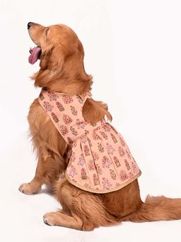 Vastramay - Dogs' Allover Printed Silk Blend Dress