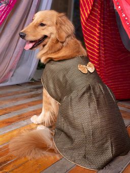 Vastramay - Dogs' Black Woven Silk Blend Dress