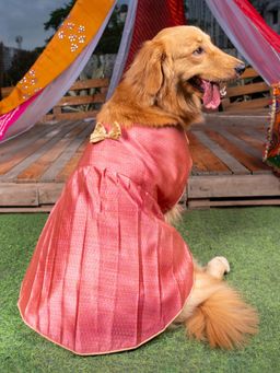 Vastramay - Dogs' Pink Woven Silk Blend Dress