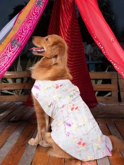 Vastramay - Dogs' Cream Floral Printed Cotton Blend Dress