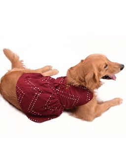 Vastramay - Dogs' Allover Mirror Work Embroidered Dress
