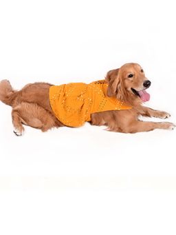 Vastramay - Dogs' Allover Mirror Work Embroidered Dress