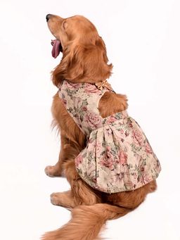 Vastramay - Dogs' Allover Printed Silk Blend Dress