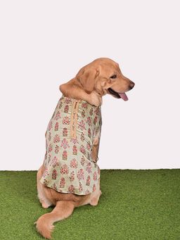 Vastramay - Dogs' Allover Printed Silk Blend Kurta