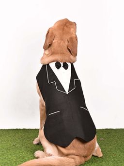 Vastramay - Dogs' Solid Blazer