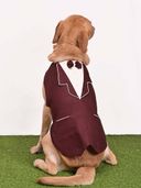 Maroon color option, Sold out
