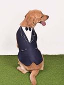 Navy Blue color option, Sold out