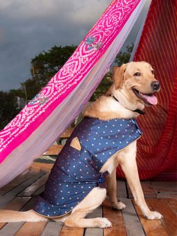 Vastramay - Dogs' Blue and Gold Silk Blend Ethnic Jacket