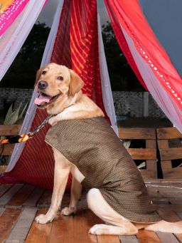 Vastramay - Dogs' Black Woven Silk Blend Ethnic Jacket