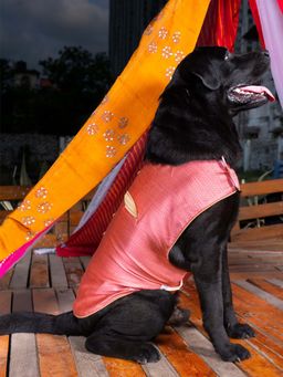 Vastramay - Dogs' Pink Woven Silk Blend Ethnic Jacket