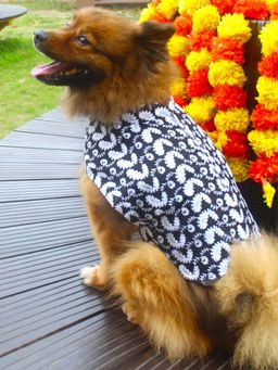 Vastramay - Dogs' Pure Cotton Black Chikankari Kurta