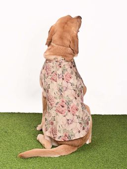 Vastramay - Dogs' Allover Printed Silk Blend Ethnic Jacket