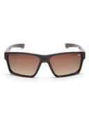 Brown color option, Sold out