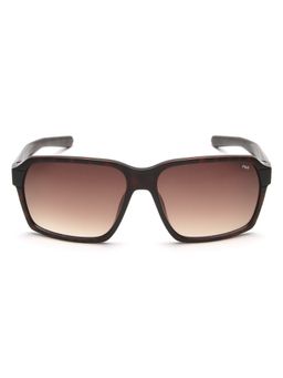 FILA - Brown Dial Full UV Protected Gradient Sunglasses for Men - SFI606K60AH9SG