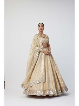 Vvani by Vani Vats - Beige Shimmer Organza Linear Lehenga with Blouse and Dupatta (Set of 3)