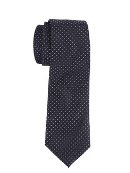 The Tie Hub - Black Polka Microfiber Neck Tie