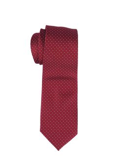 The Tie Hub - Maroon Polka Microfiber Neck Tie