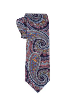 The Tie Hub - Blue Paisley Microfiber Neck Tie